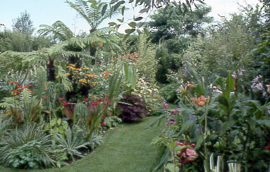 Exotic border